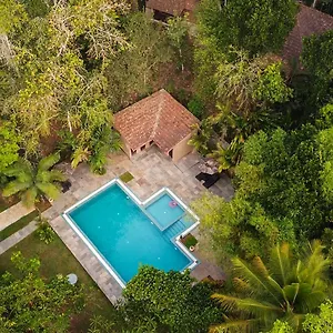  Resort Raindrops Wayanad